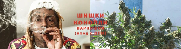сатива Балабаново
