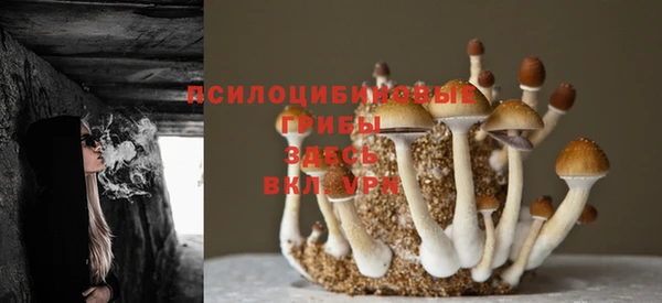 МДПВ Балахна