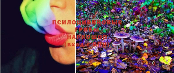 МДПВ Балахна