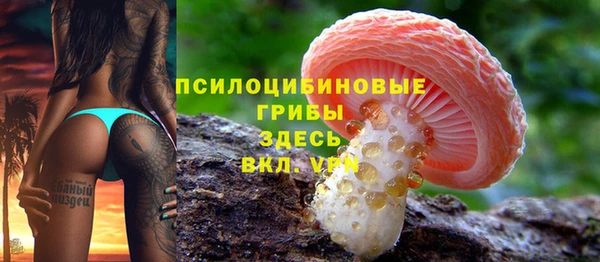 МДПВ Балахна
