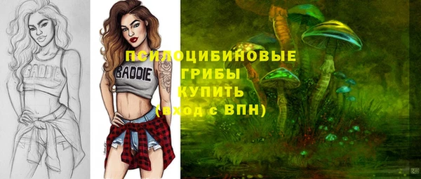 ГАЛЛЮЦИНОГЕННЫЕ ГРИБЫ Семилуки