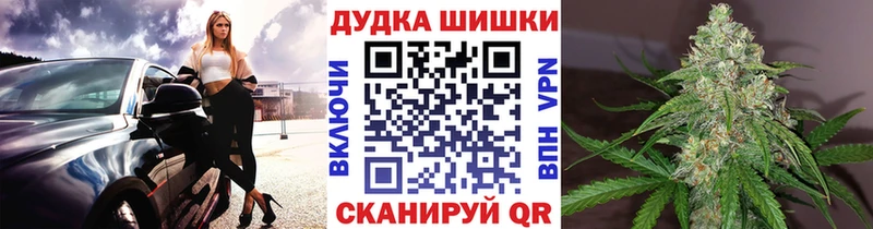 как найти наркотики  Ивантеевка  МАРИХУАНА сатива 